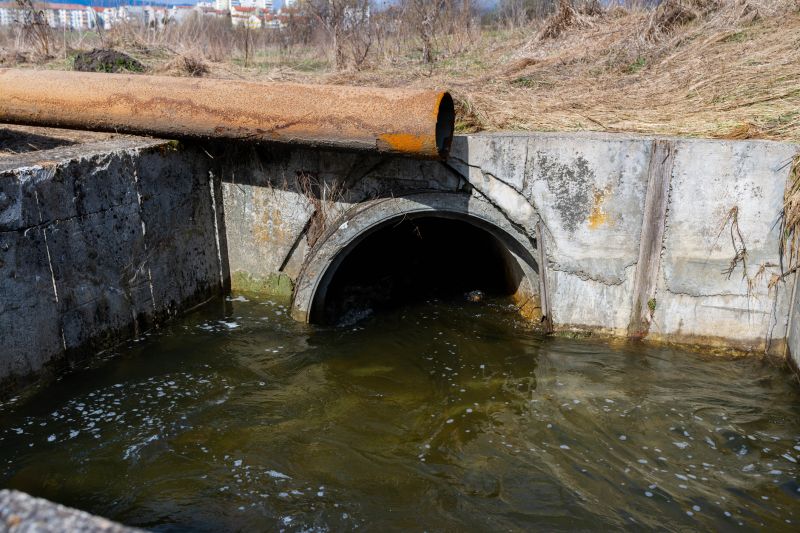 Sewer Service in Longmont, CO