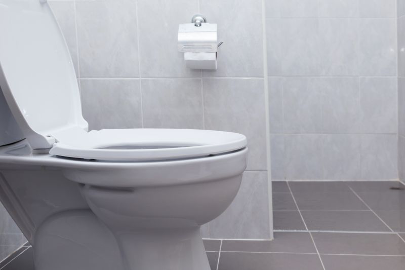 Toilet Service in Denver, CO